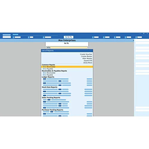 Tally Prime Silver - one software for all your business needs - Accounting, GST, Invoice - Image 3