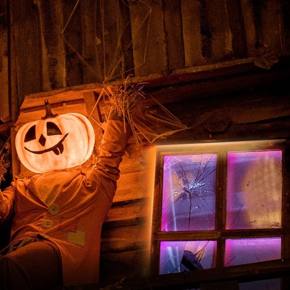 Smart Wi-Fi Light Strip, Multicolor Tapo L920-5 - Image 5