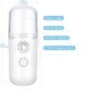 Nano Mist Spray Facial Steamer