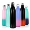 Double Wall Stainless Steel Water Bottle
