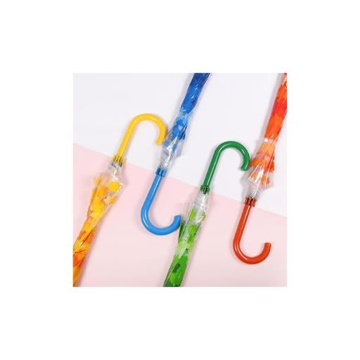 Transparent Printed Umbrella