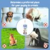 Pet Groom Potty Training Spray