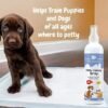Pet Groom Potty Training Spray